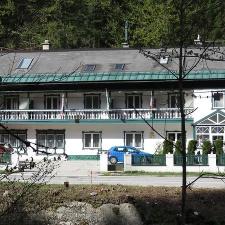 Alpenpension 奥尔陶斯 外观 照片